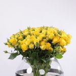 لحظة صفاء